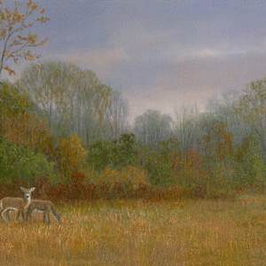 Deer grazing along misty treeline by Tarryl Gabel