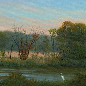 Egret along the river by Tarryl Gabel
