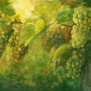 Grapes on the Vine by Tarryl Gabel