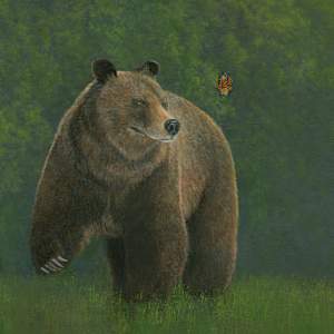 Bear and the butterfly by Tarryl Gabel