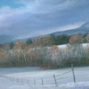 Hawk NH Winter by Tarryl Gabel