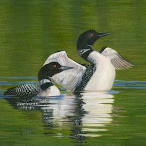 Pair of Loons by Tarryl Gabel