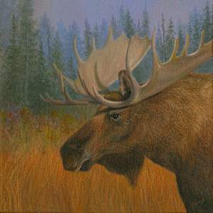 Bull Moose by Tarryl Gabel