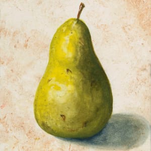 Pear study in watercolor by Tarryl Gabel