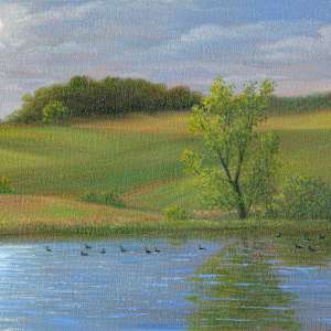 Geese on the Pond, Bonita Farms by Tarryl Gabel