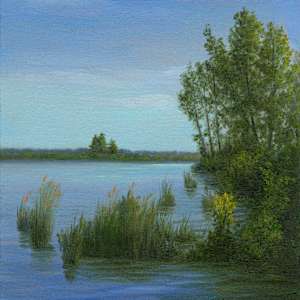 Shorline, Drummond Lake by Tarryl Gabel