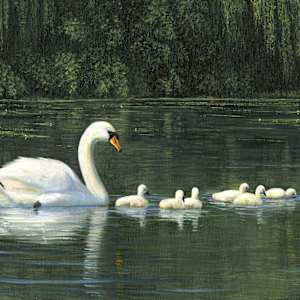 Spring brings babies by Tarryl Gabel, Image 1.