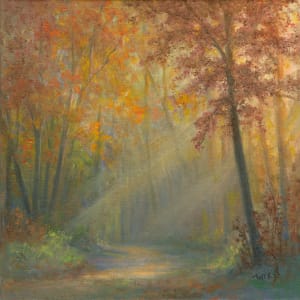 Sunlit forest path by Tarryl Gabel