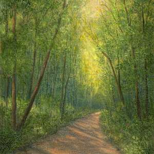 Sunlit Woodsy Path by Tarryl Gabel, Image 1.