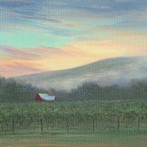 Sunrise over the Vineyard-Grovedale Winery by Tarryl Gabel