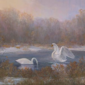 Swan pair, first snow by Tarryl Gabel