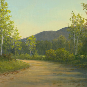Vermont Road by Tarryl Gabel