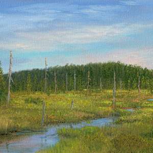 Winding ADK Marsh by Tarryl Gabel