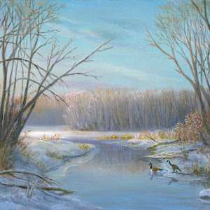 Geese, winter morning by Tarryl Gabel, Image 1.