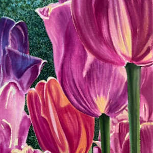 Avenue of Tulips, Pella, Iowa by Andrea VanWyk, Image 1.