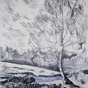 Silver Birch by Lac du Vassivier by Phoebe Thomasson, Image 1.