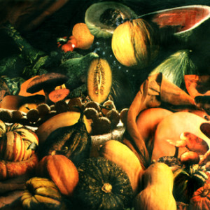 Autumn Feast (aka Autumn Harvest) by Merrilyn Duzy