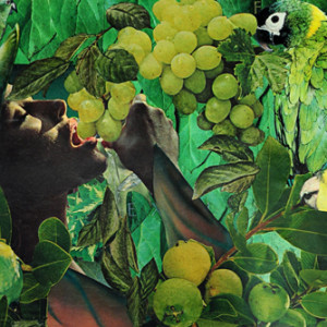 Fruit of the Vine by Merrilyn Duzy