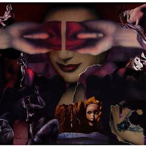 Night's Witness by Merrilyn Duzy 