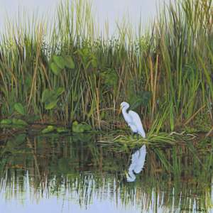 AMONG THE TALL GRASSES by Brenda Francis, Image 1.