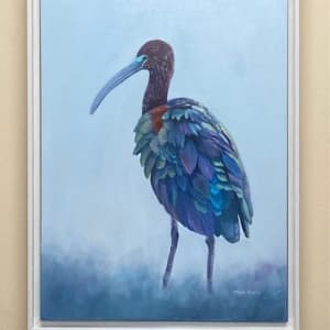 IRIDESCENCE OF THE GLOSSY IBIS by Brenda Francis  Image: White floater frame