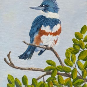 KINGFISHER QUEEN by Brenda Francis