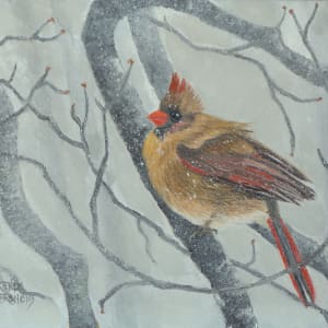 MISS CARDINAL IN THE SNOW