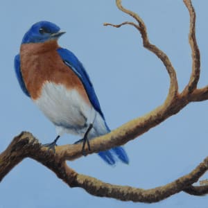 MR. BLUE BIRD by Brenda Francis