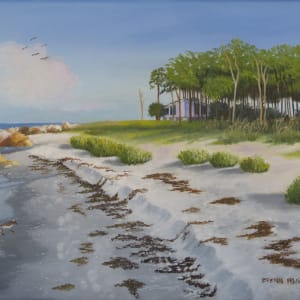 THE POINT AT ALLIGATOR POINT by Brenda Francis