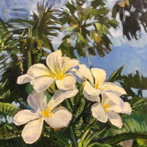 Frangipani, Naples by Monica Dix