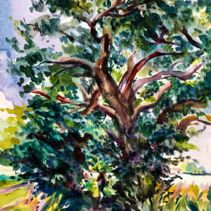 Walk in Cheshire by Monica Dix