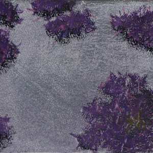 Samphire by Steve Baird, Image 1.