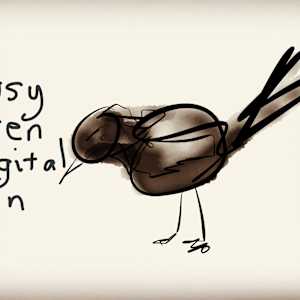 Busy Wren Digital Pen by Steve Baird, Image 2.