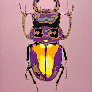Bug by Sharon Lafferty, Image 1.