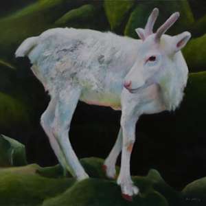 REINDEER by Brent Godfrey