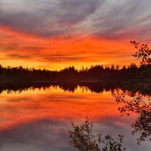 Fire in the Sky by Heather Simkiss