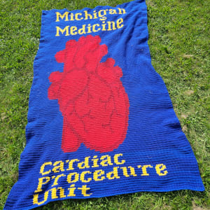 PEOPLE'S CHOICE AWARD – Cardiovascular Blanket by Lindsey Arnold