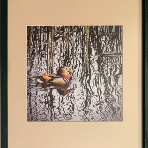 Mandarin Duck by Mitzi Rabe