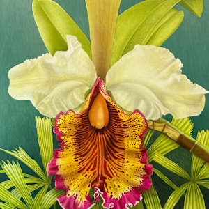 Sexy Lady by Christine Knize