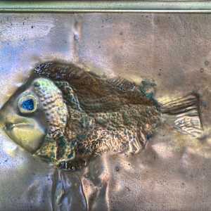 SS25 - Copper Fish by Ralph Parus