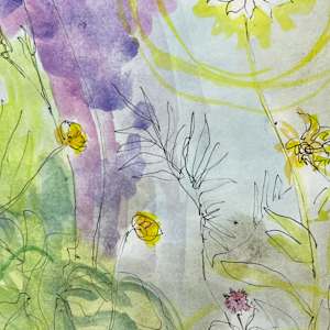 Night Garden 6, Coreopsis in Moonlight by Denita Benyshek 