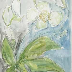 Wild Orchid No. 1 by Elizabeth Bernheisel 