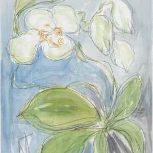 Wild Orchid No. 2 by Elizabeth Bernheisel 