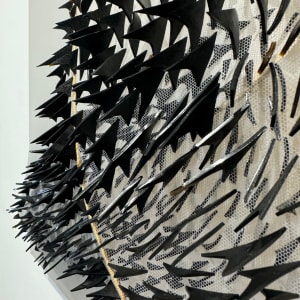 Birds of a Feather Flock Together by Natale Adgnot 
