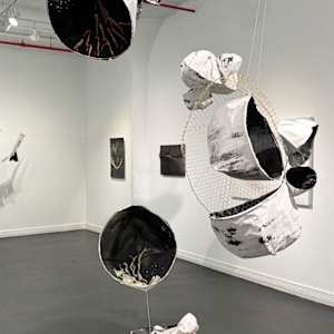 Don't Count Your Chickens Before They Hatch by Natale Adgnot