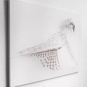 Swan Song by Natale Adgnot 