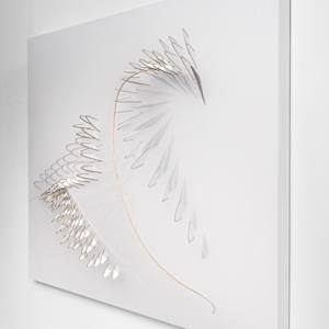 Swan Song by Natale Adgnot 