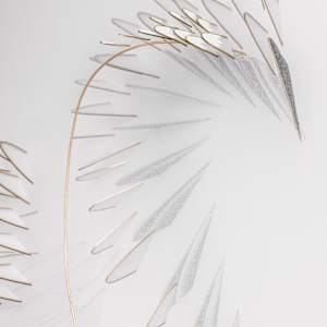 Swan Song by Natale Adgnot 