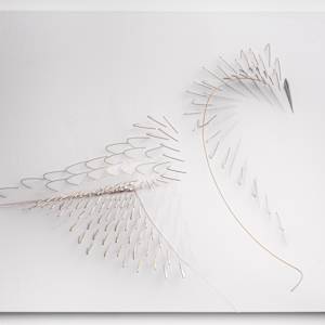 Swan Song by Natale Adgnot 