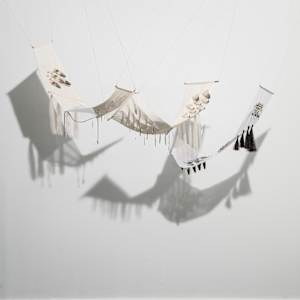 Wild Goose Chase: Migration by Natale Adgnot 